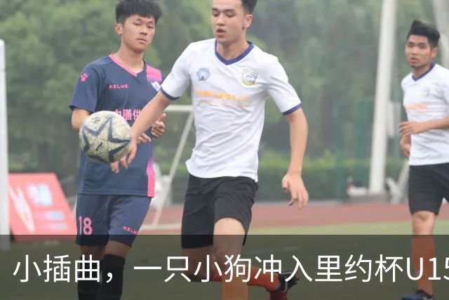 小插曲，一只小狗冲入里约杯U15比赛场内险些头球破门