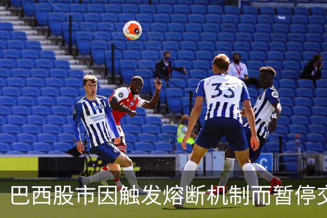 巴西股市因触发熔断机制而暂停交易