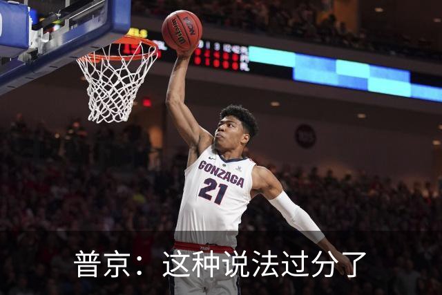 普京：这种说法过分了