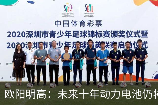 欧阳明高：未来十年动力电池仍将以磷酸铁锂为主，半固态电池不能与全固态混为一谈