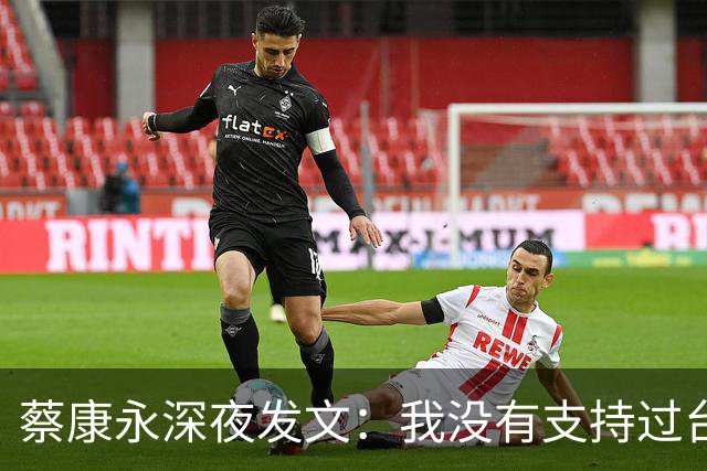 蔡康永深夜发文：我没有支持过台独