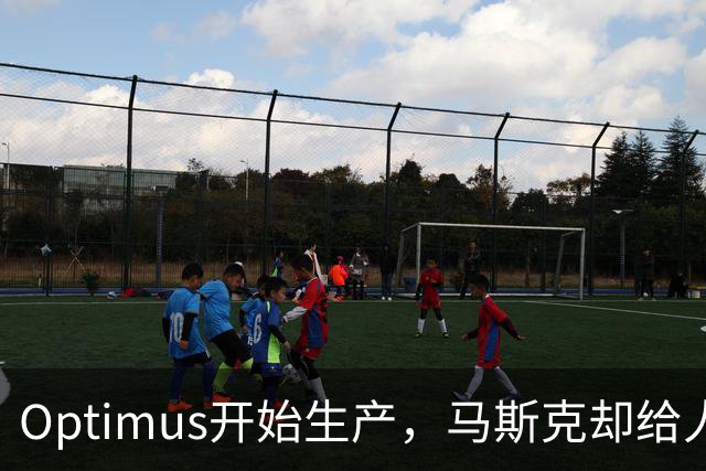 Optimus开始生产，马斯克却给人形机器人降温了